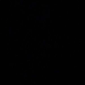 Meet your Posher, Fiona